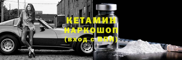 шишки Бородино