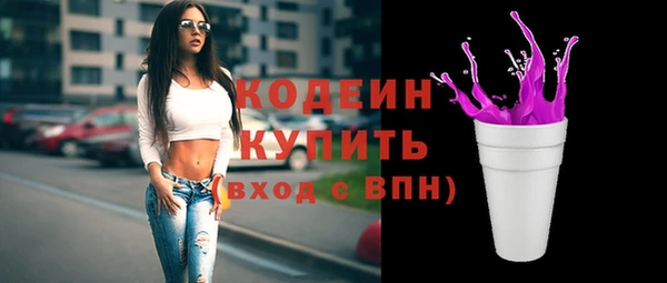 шишки Бородино
