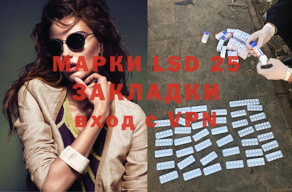 шишки Бородино