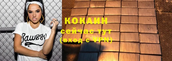 шишки Бородино