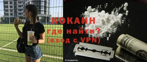шишки Бородино