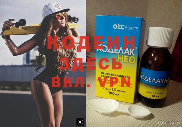 шишки Бородино