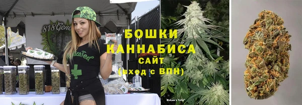 шишки Бородино