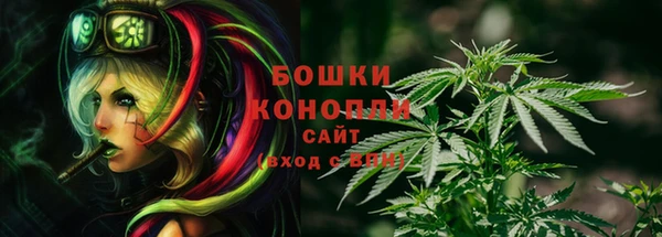 шишки Бородино