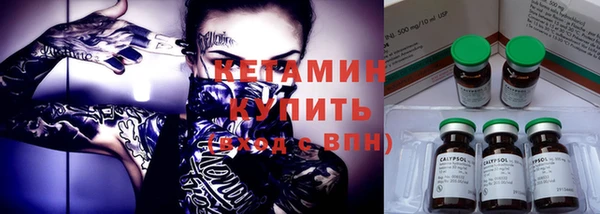 шишки Бородино